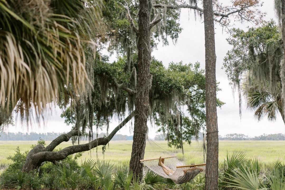 Photo of Others in Palmetto Bluff