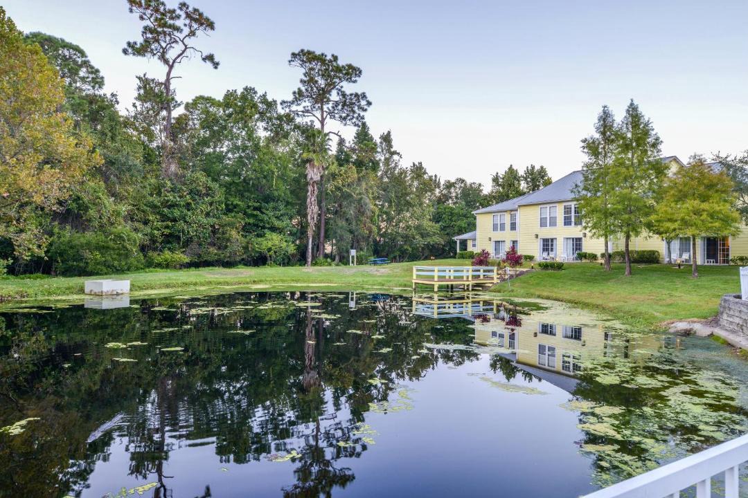 Photo of Others in Kissimmee