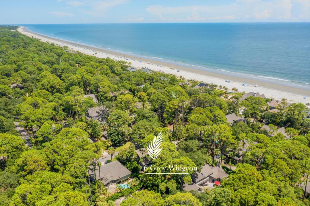 Photo of Others in Sea Pines