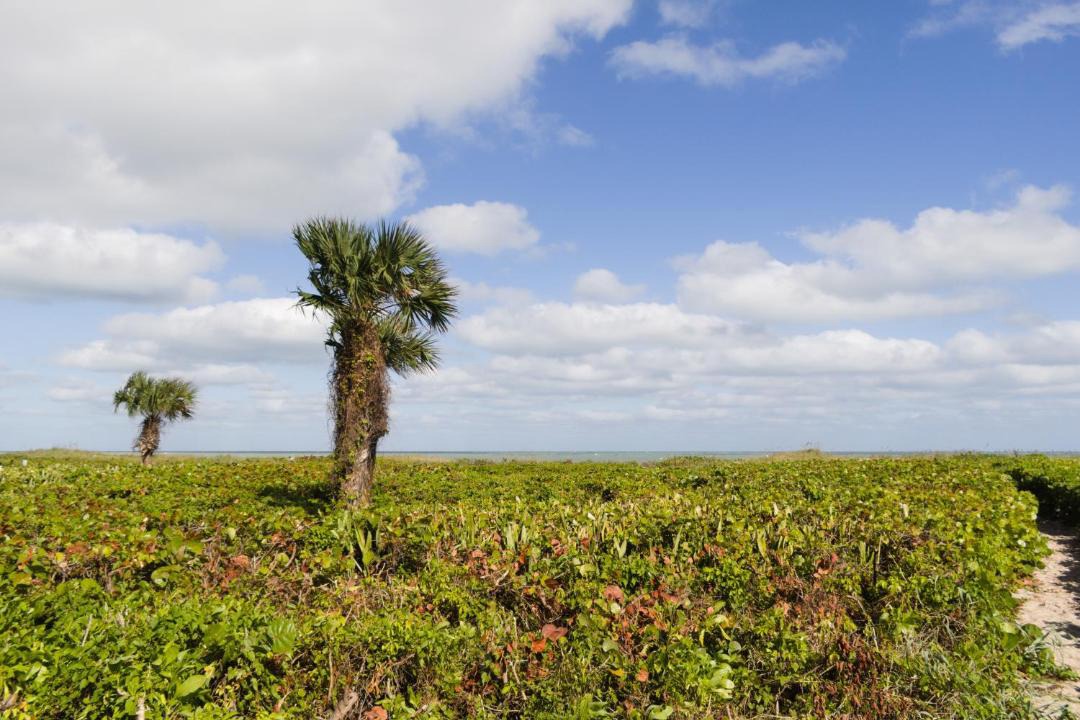 Photo of Others in Vero Beach