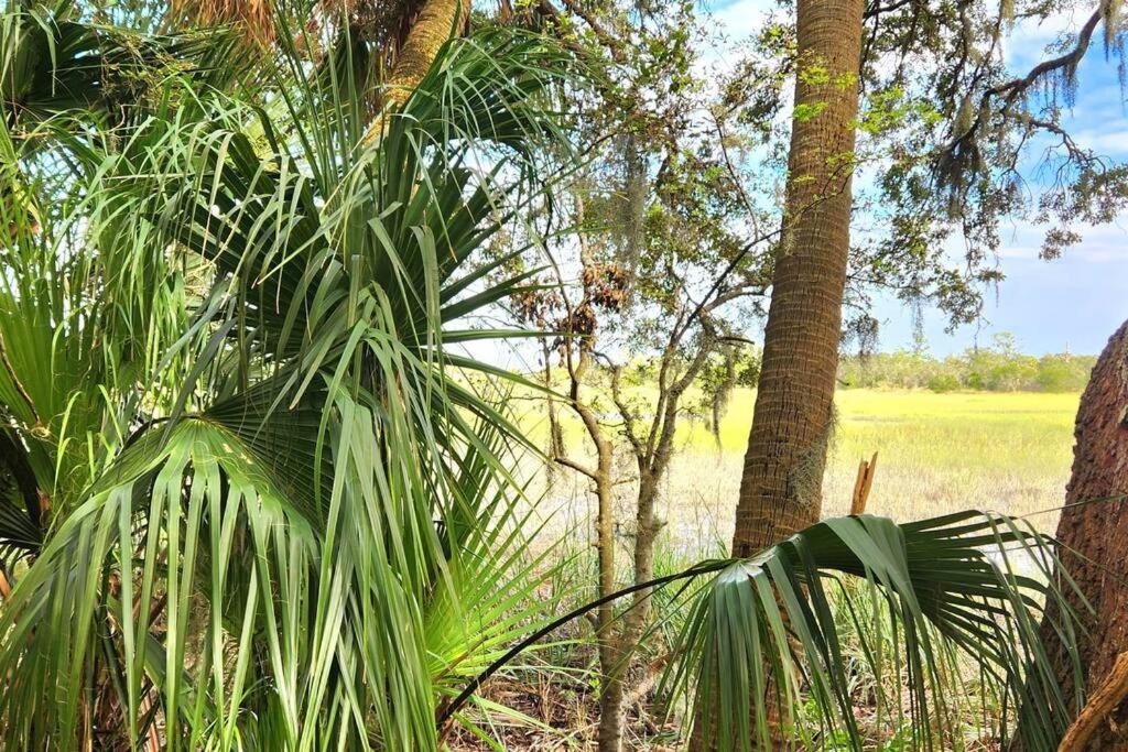 Photo of Others in Saint Helena Island