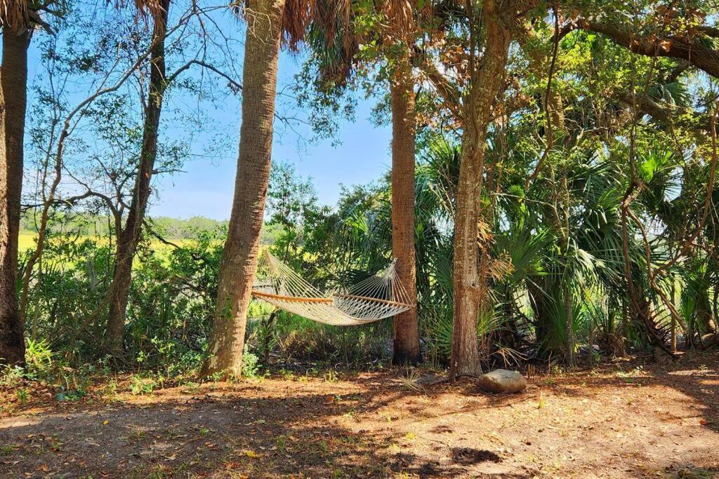 Photo of Others in Saint Helena Island