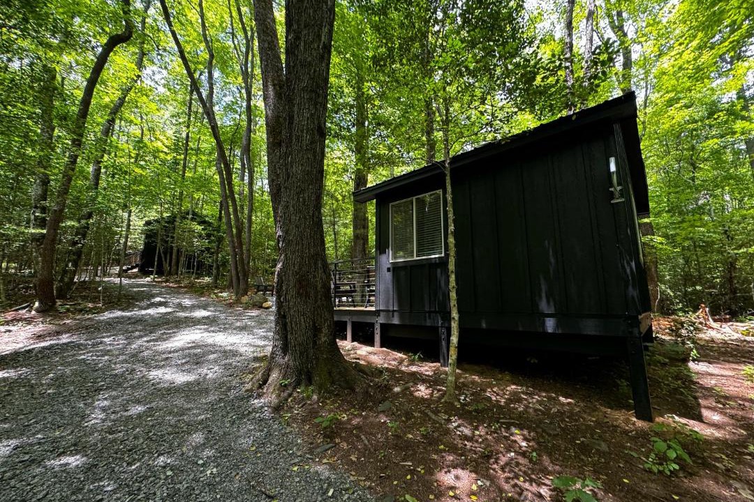 Photo of Others in Balsam Grove