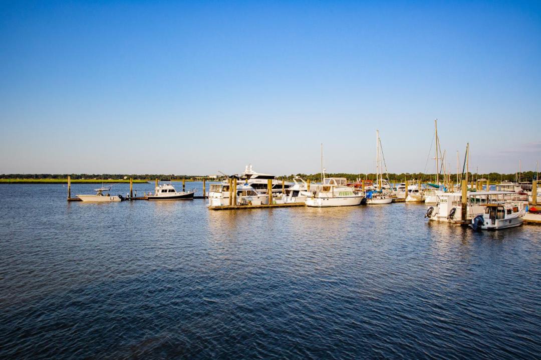 Photo of Others in The Bluff