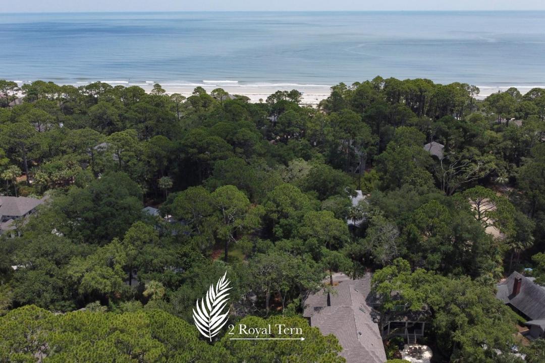 Photo of Others in Sea Pines