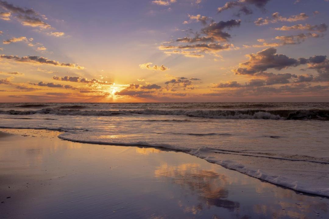 Photo of Others in Palmetto Dunes
