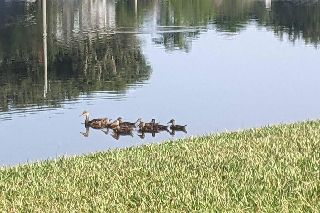 Photo of Others in Port Saint Lucie