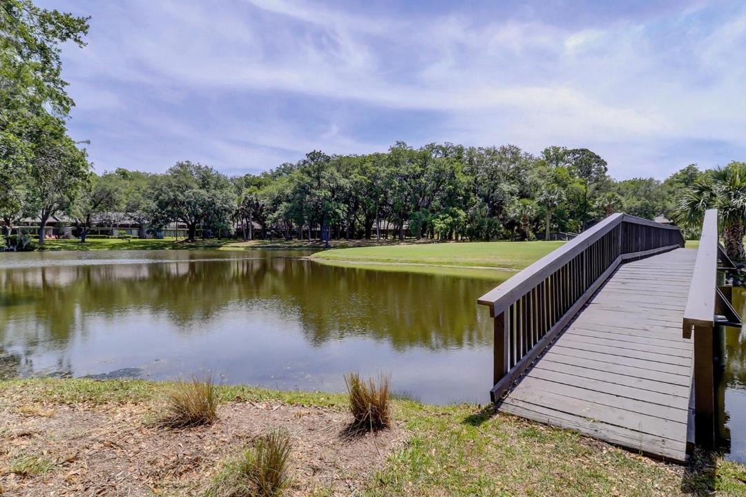 Photo of Others in Sea Pines