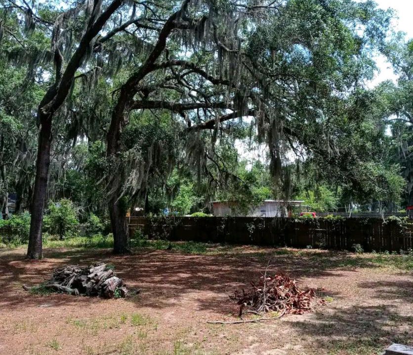 Photo of Others in Port Royal