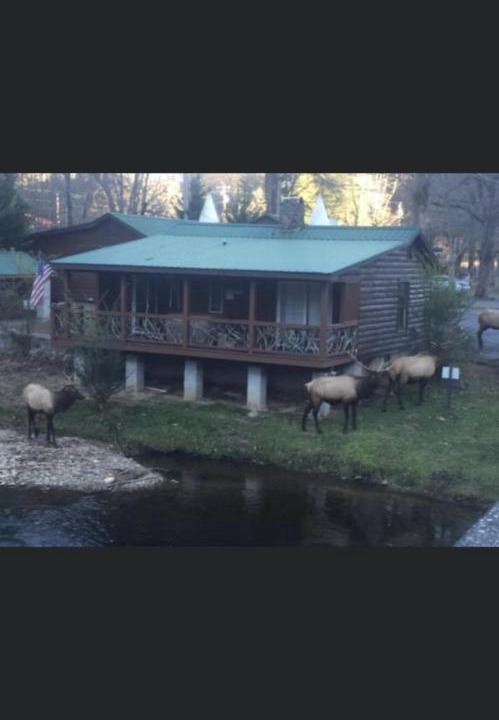 Photo of Others in Cherokee