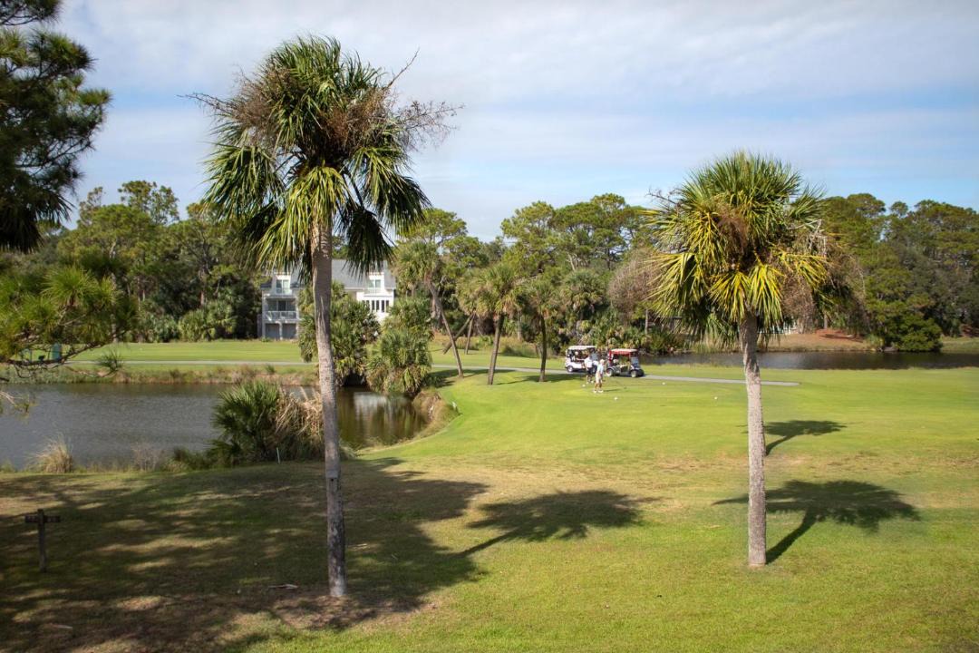Photo of Others in Saint Helena Island