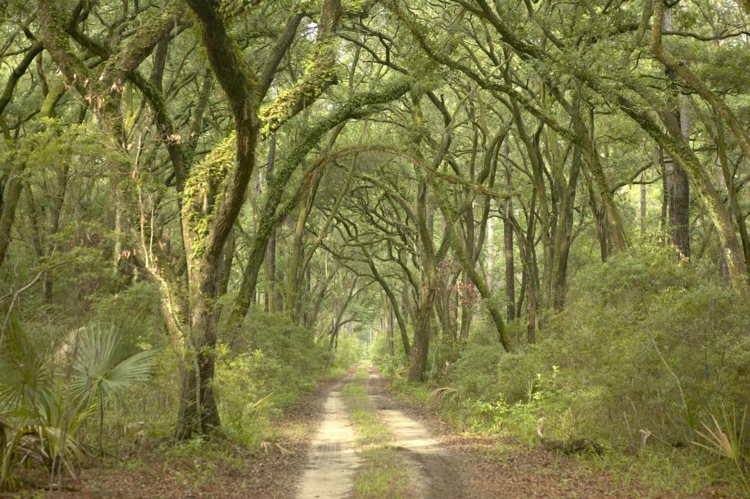Photo of Others in Palmetto Bluff