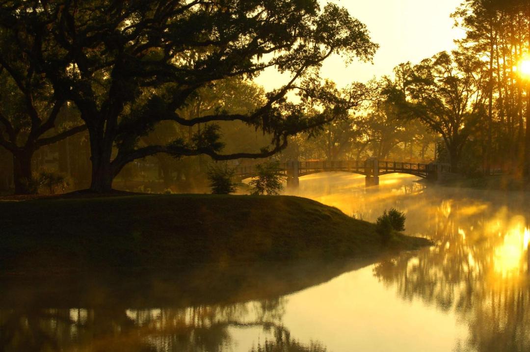 Photo of Others in Palmetto Bluff