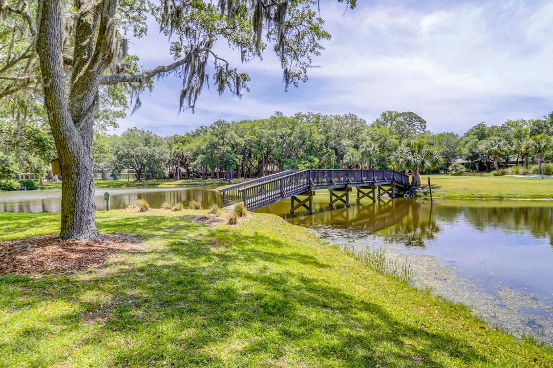 Photo of Others in Sea Pines