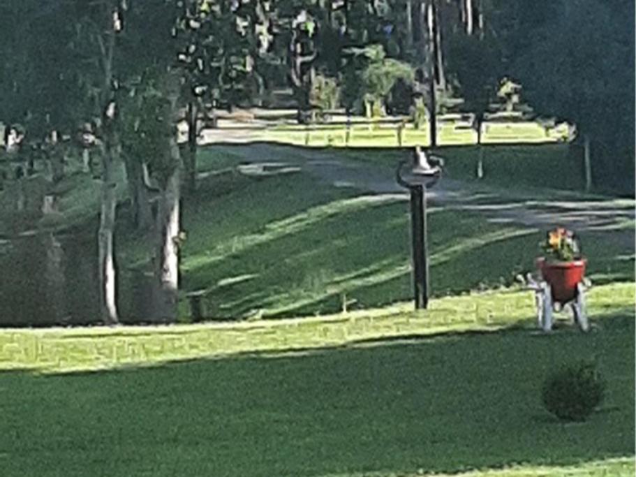 Photo of Others in Eastman