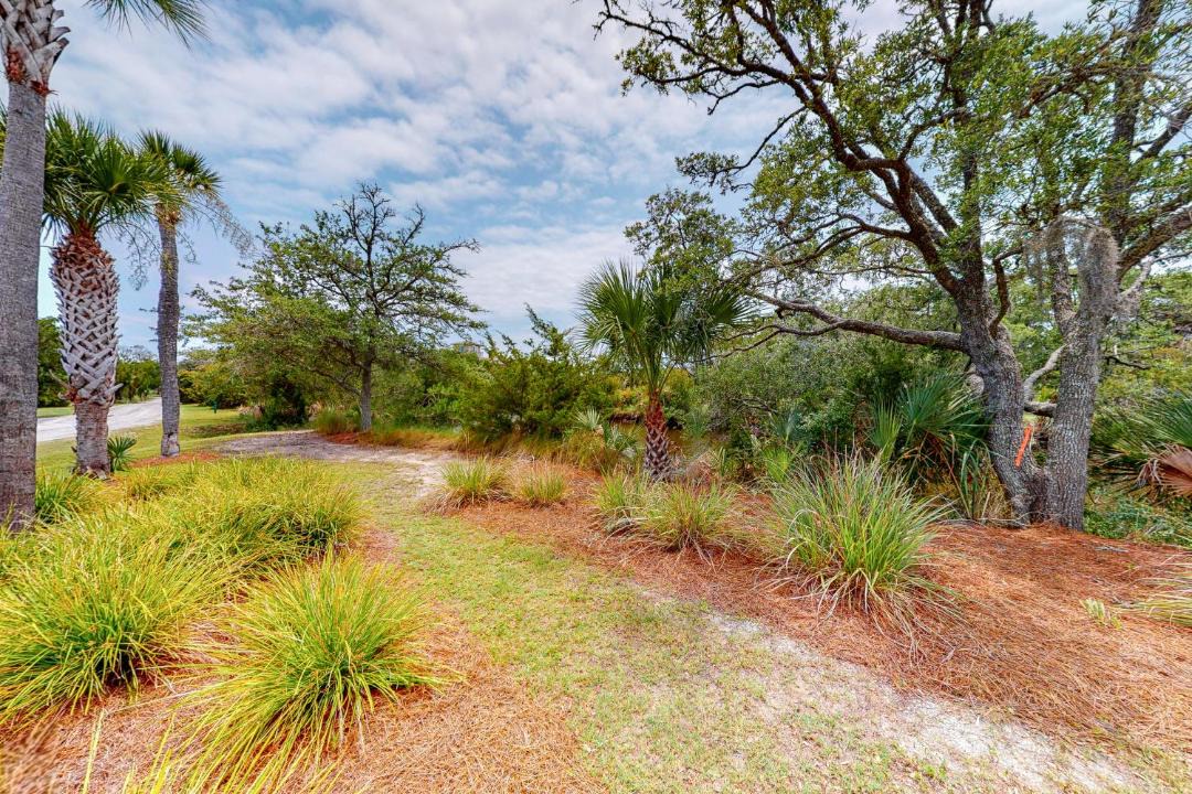 Photo of Others in Edisto Island