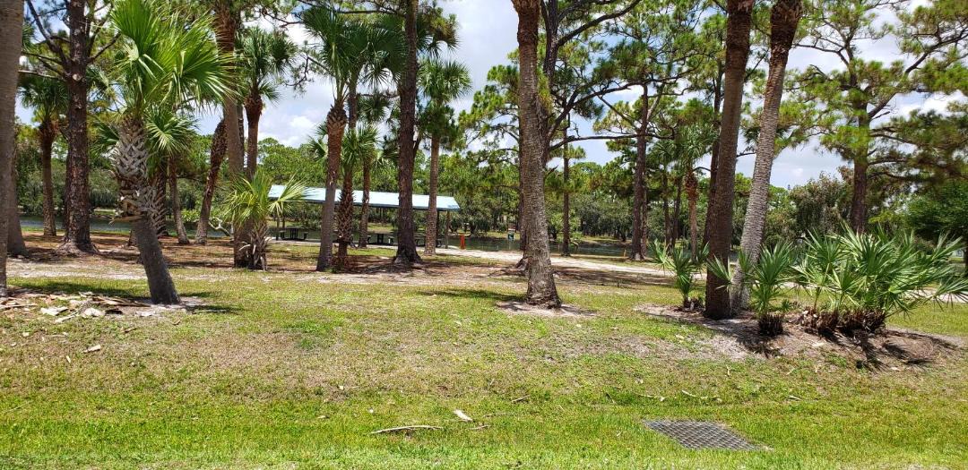 Photo of Others in Indian River Estates