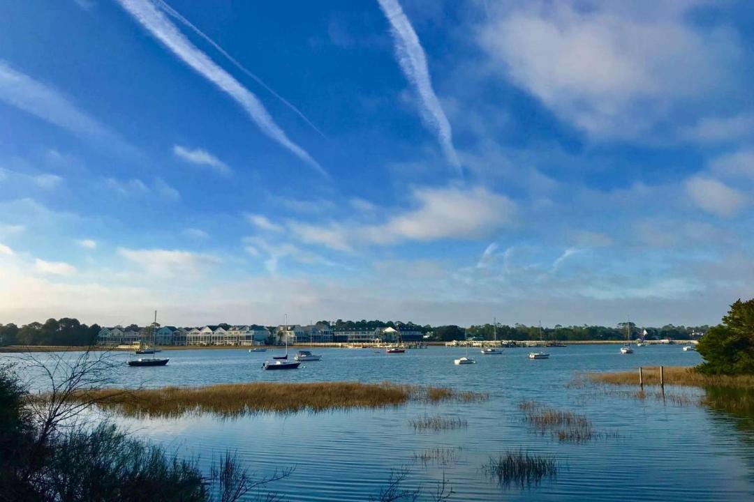 Photo of Others in Folly Beach