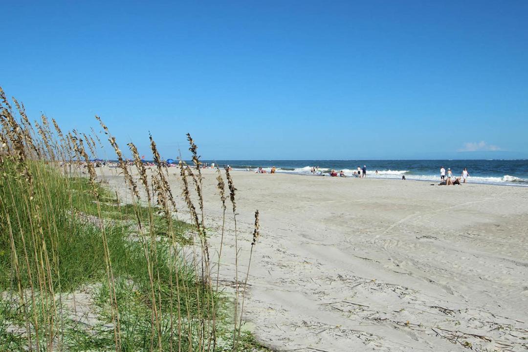 Photo of Others in Folly Field