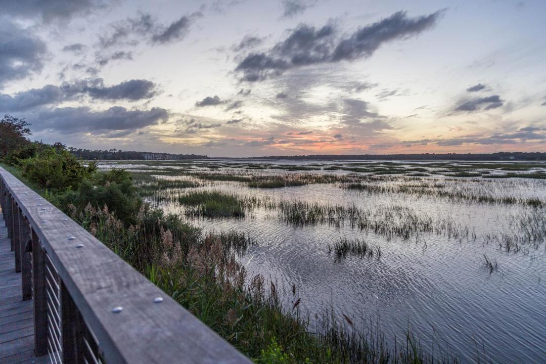 Photo of Others in Hilton Head Island