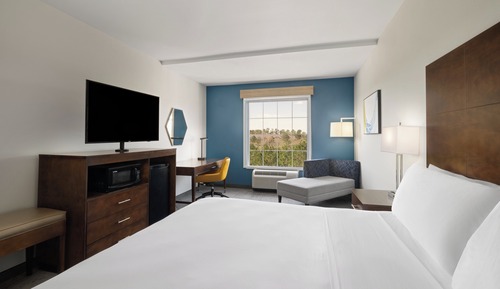Standard Room, 1 King Bed, Accessible (Accessible Tub)