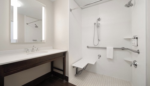 Standard Room, 1 King Bed, Mobility Accessible (Roll-In Shower)