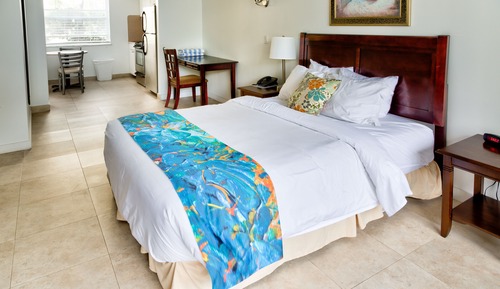 Studio, 1 Queen Bed, Accessible