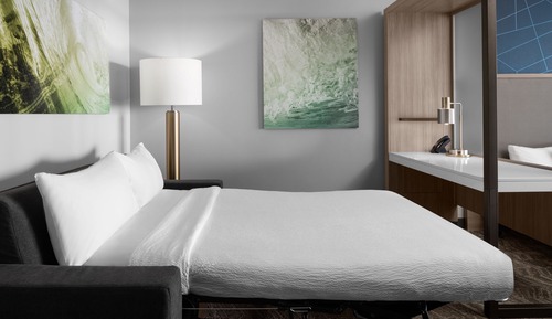 Suite, 1 King Bed with Sofa bed, Roll-in Shower