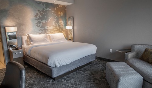 Room, 1 King Bed with Sofa bed, Hearing Accessible