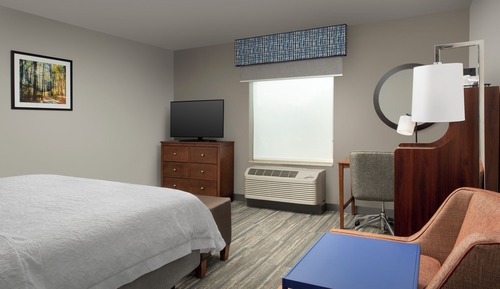 Room, 1 King Bed, Accessible