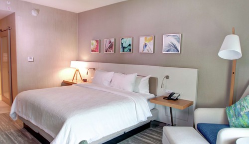 Room, 1 King Bed