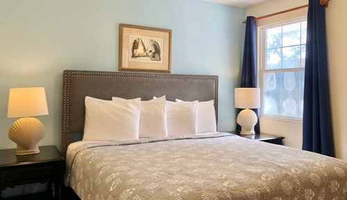 Deluxe King Suite