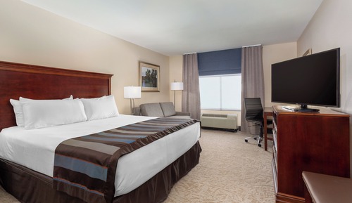 Standard Room, 1 King Bed, Accessible Bathtub, Non Smoking