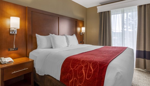 Suite, 1 King Bed with Sofa bed, Non Smoking
