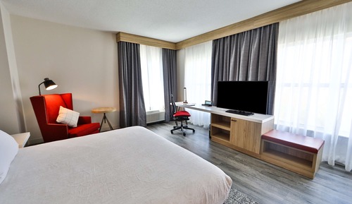 Room, 1 King Bed, Accessible, Bathtub (Hearing and Mobility)