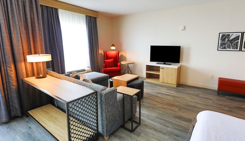 Room, 1 King Bed (Oversized)
