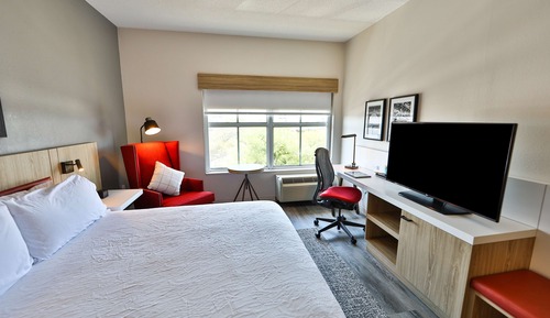 Room, 1 King Bed