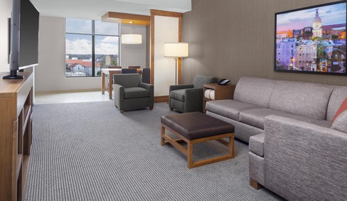 Suite, 1 King Bed with Sofa bed