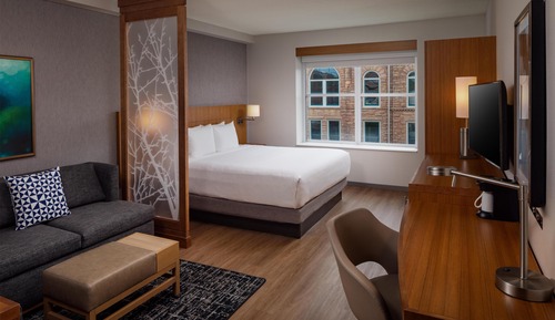 Room, 1 King Bed with Sofa bed