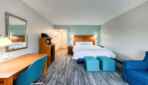 Room, 1 King Bed, Accessible, Non Smoking