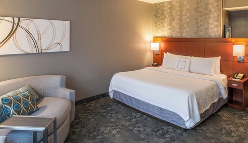 Room, 1 King Bed with Sofa bed