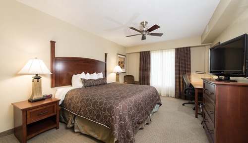 Suite, 1 Bedroom, Kitchen