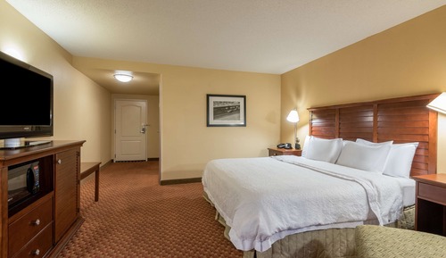 Room, 1 King Bed, Non Smoking