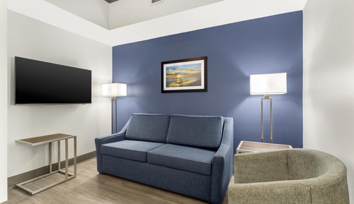Room, 1 King Bed, Non Smoking (with Sofabed)