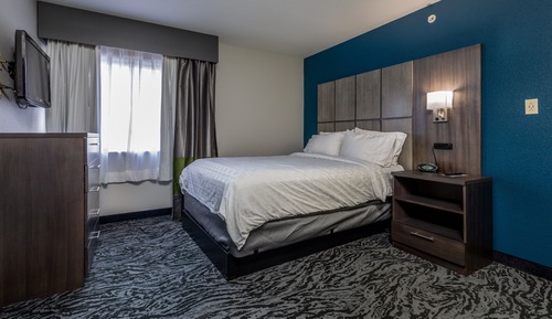 Studio Suite, 1 Queen Bed, Mobility Accessible (Communications)