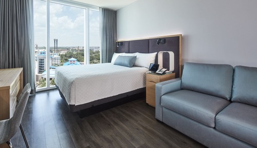 Standard Room, Non Smoking (One King Pullout Sofa) (Includes Early Park Admission*)
