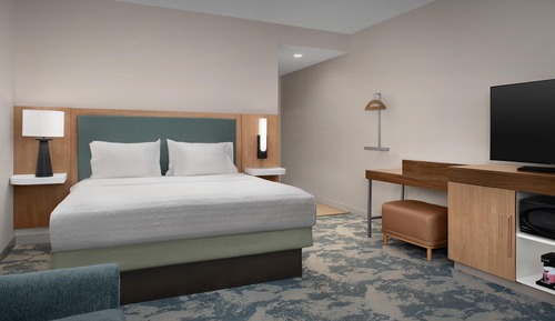 Room, 1 King Bed with Sofa bed, Non Smoking, Refrigerator & Microwave