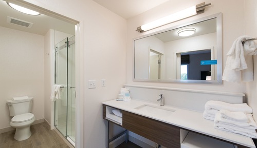 Room, 1 King Bed, Non Smoking, Refrigerator & Microwave