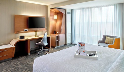 Room, 1 King Bed with Sofa bed