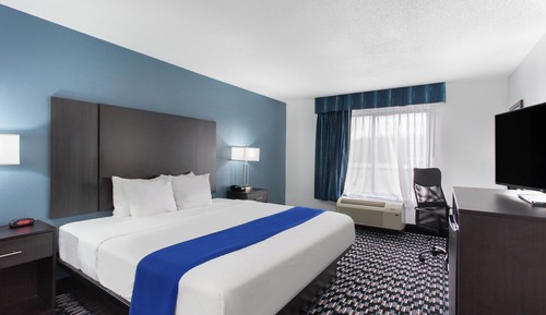 Standard Suite